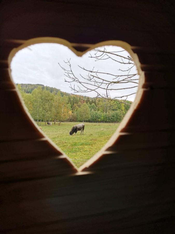 Zazitkovy Pobyt Uprostred Prirody Zelezny Brod Eksteriør bilde